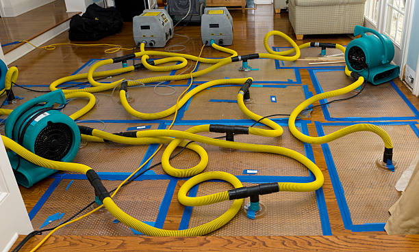 Professional Basement Flood Cleanup technician working in Berkley, CO